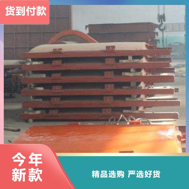 铸铁闸门扇形闸门专业设计