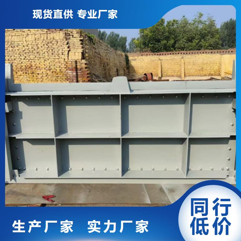 钢坝闸门-泵站上卧式闸门诚信经营现货现发