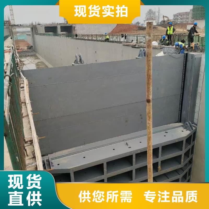 钢坝闸门泵站上卧式闸门厂家直销售后完善