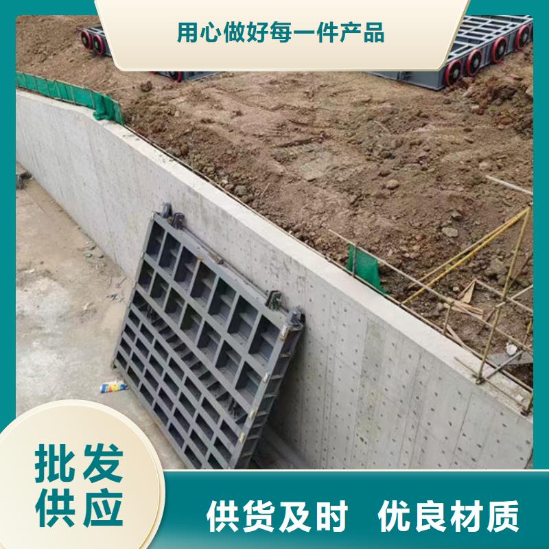 钢坝闸门液压钢坝支持货到付清