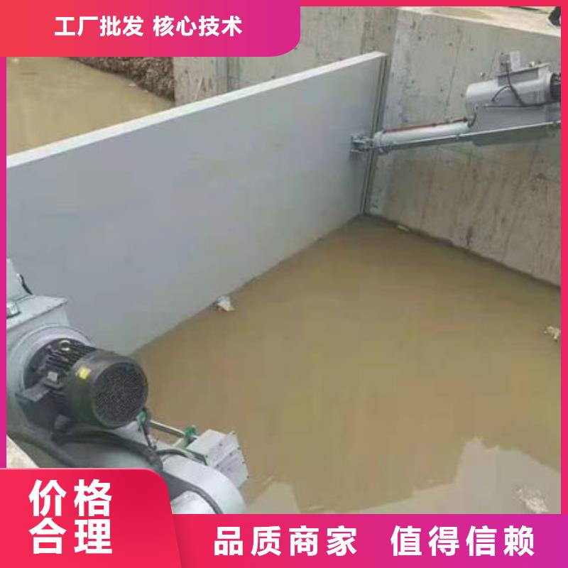 钢坝闸门景观钢闸门质量优选