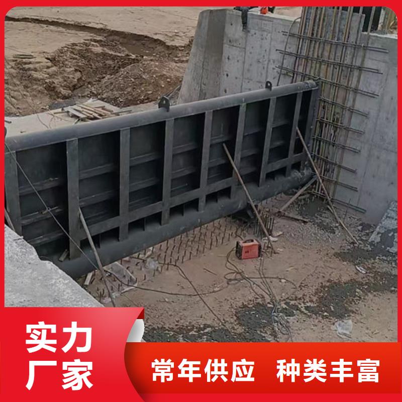 钢坝闸门自动抓梁真正的源头厂家