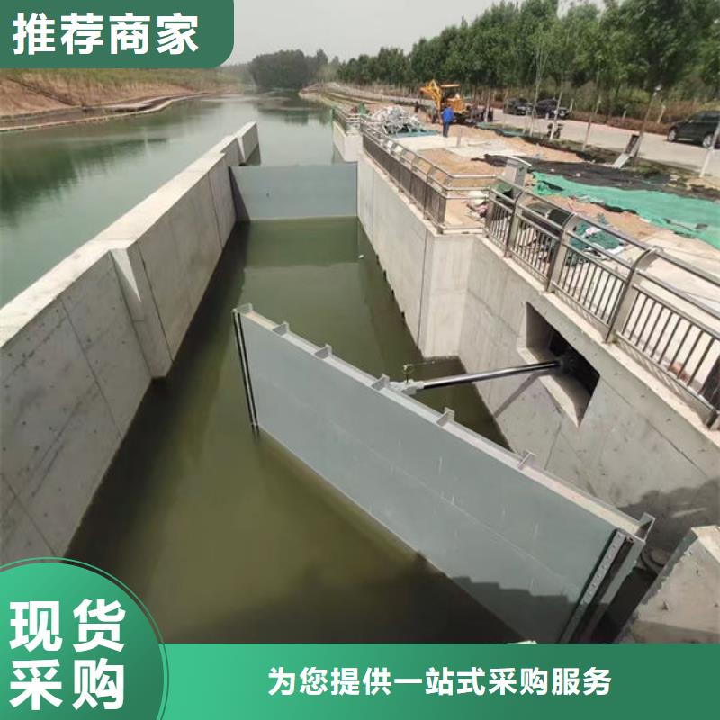 钢坝闸门景观钢闸门质量优选