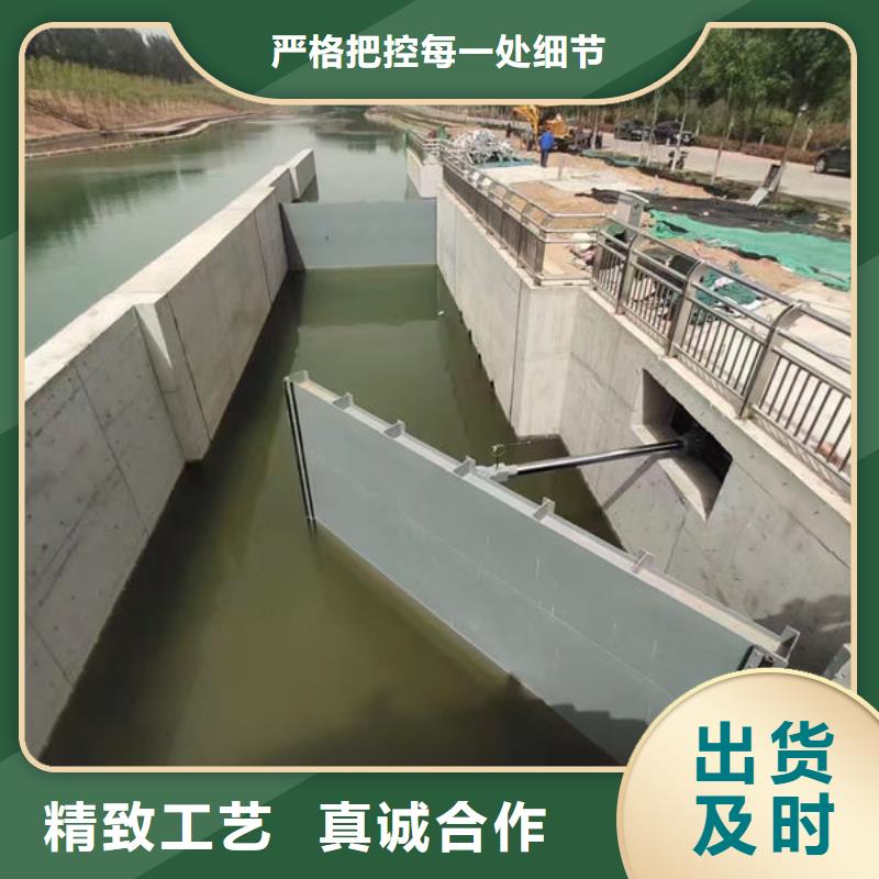 钢坝闸门合页钢坝自有生产工厂