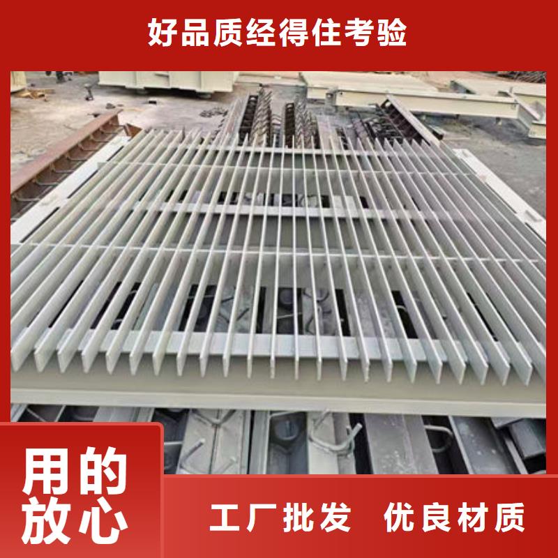 清污机水电站清污机讲信誉保质量