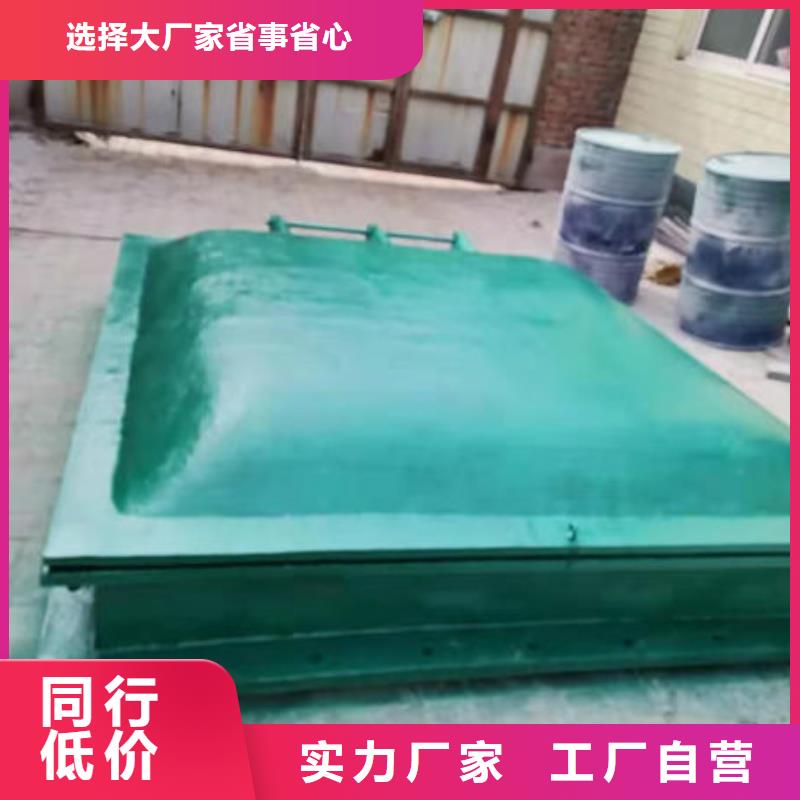 拍门,拍门设计制造销售服务一体
