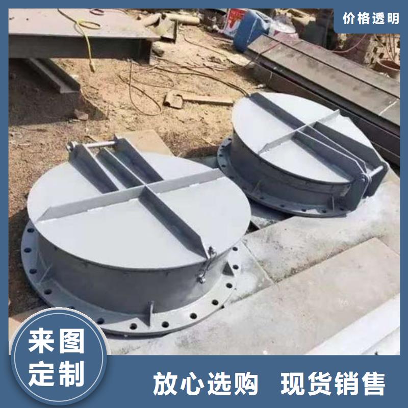 拍门,不锈钢拍门今年新款