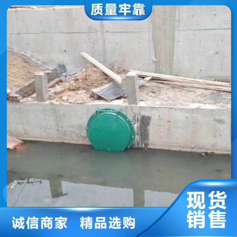 拍门,不锈钢拍门今年新款