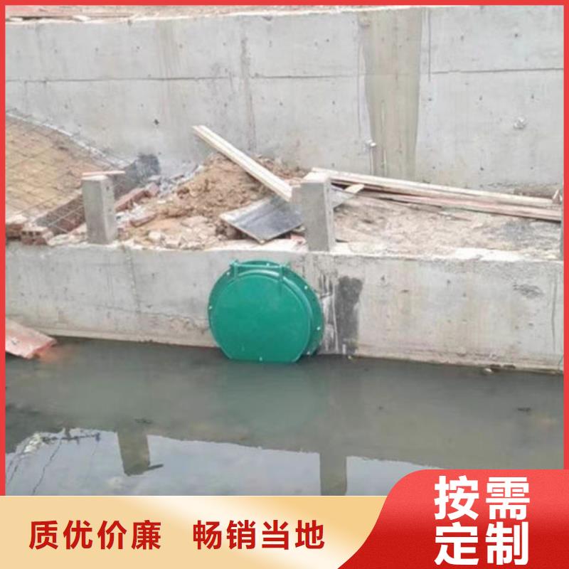 拍门球墨铸铁拍门当日价格