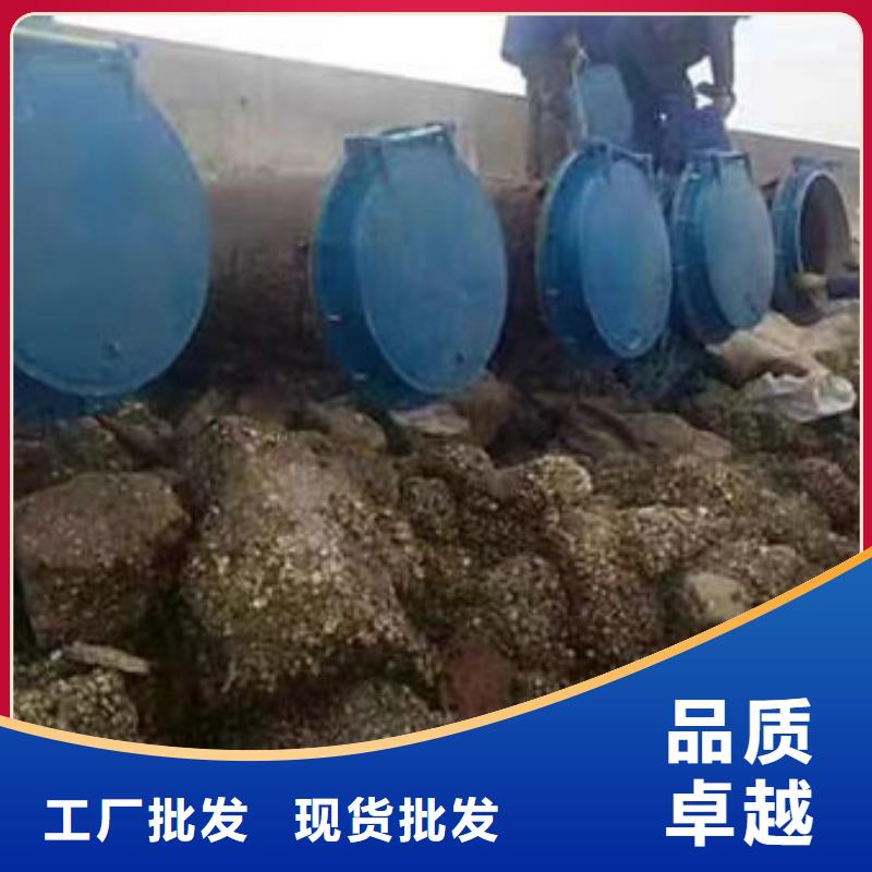 拍门不锈钢拍门专业生产设备