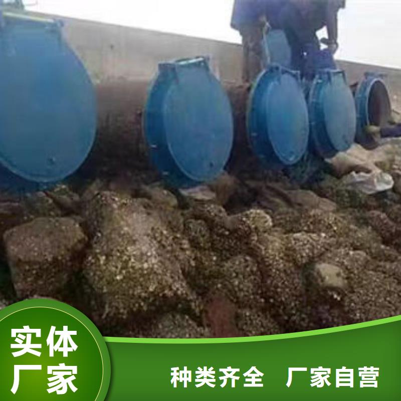 拍门圆拍门厂家直销