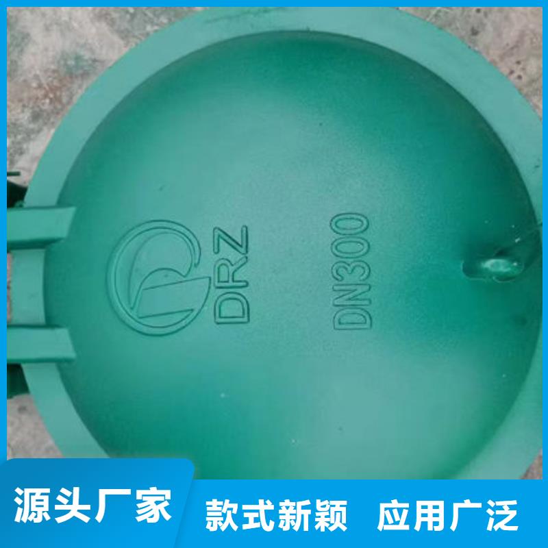 拍门钢拍门精心