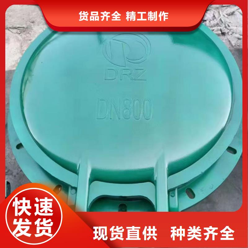 拍门,拍门设计制造销售服务一体