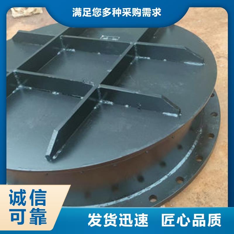 拍门球墨铸铁拍门N年专注