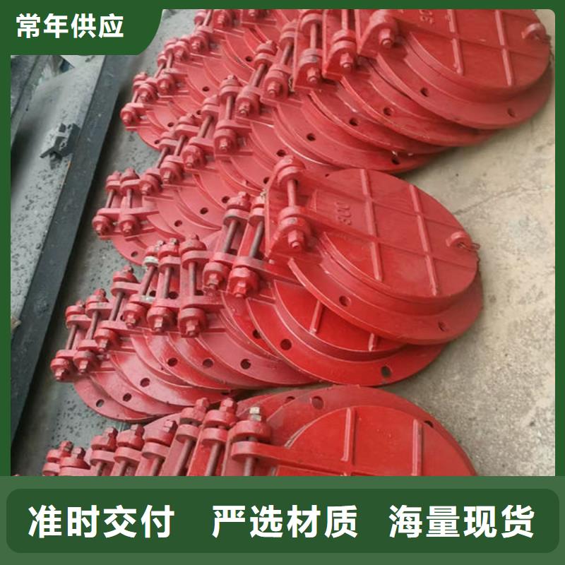 拍门钢拍门精心