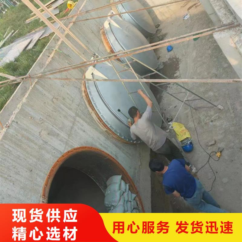 拍门球墨铸铁拍门N年专注