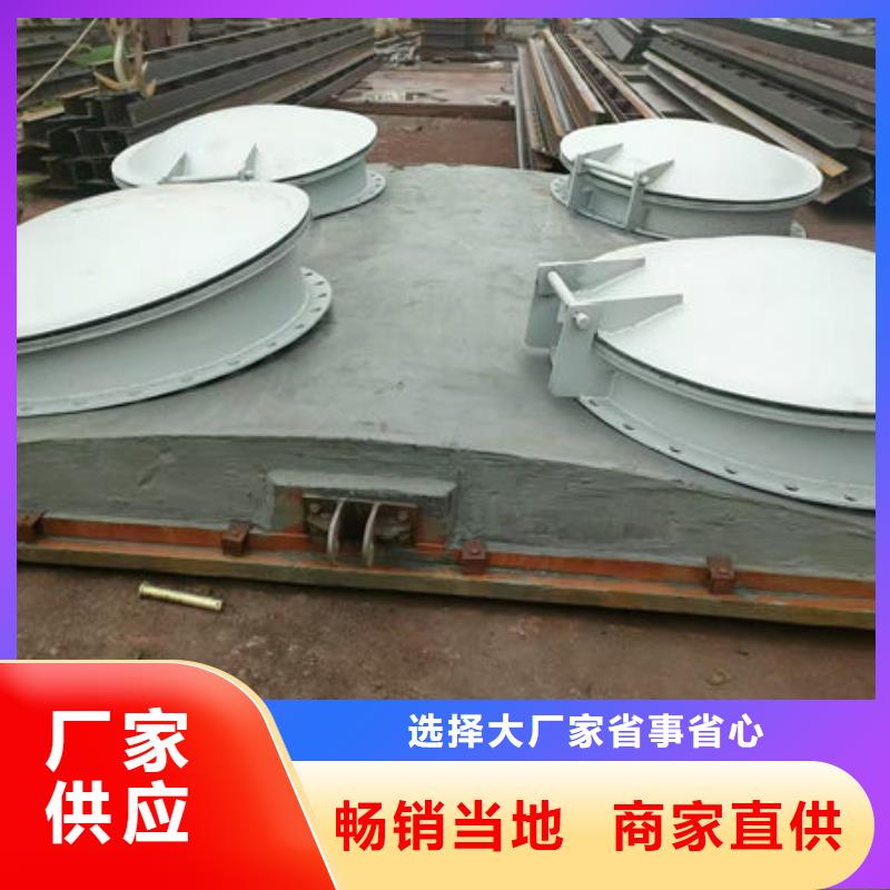 拍门钢制拍门厂家销售
