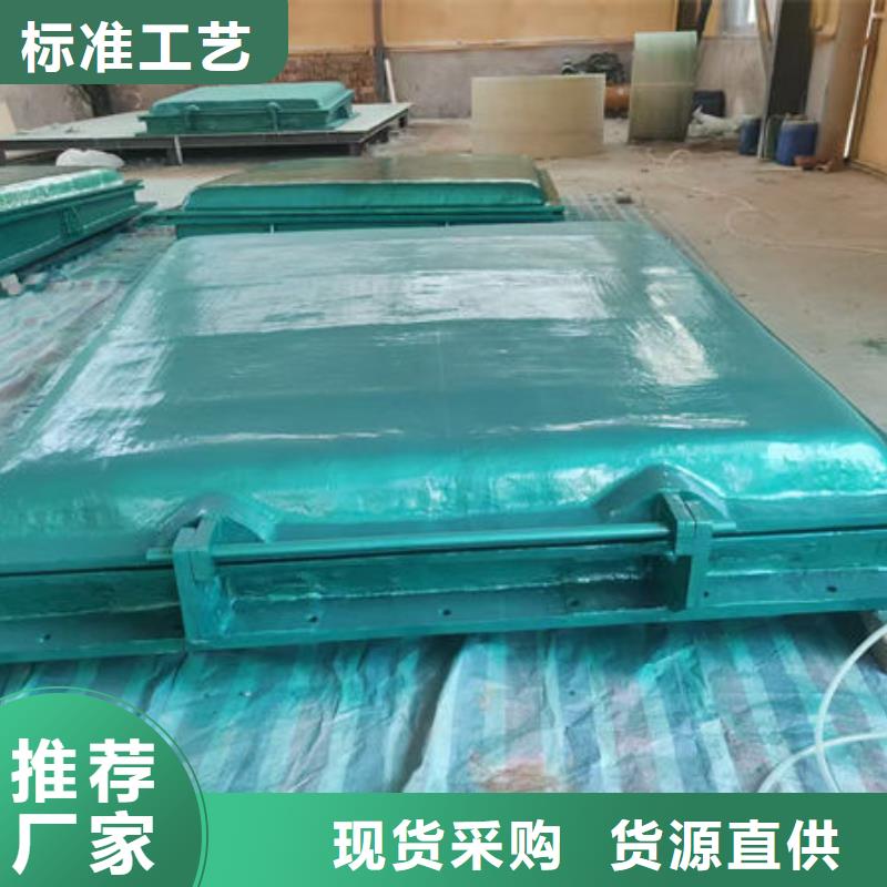 拍门铸铁拍门自主研发