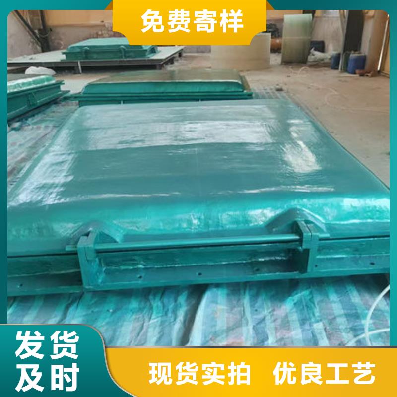 拍门球墨铸铁拍门N年专注