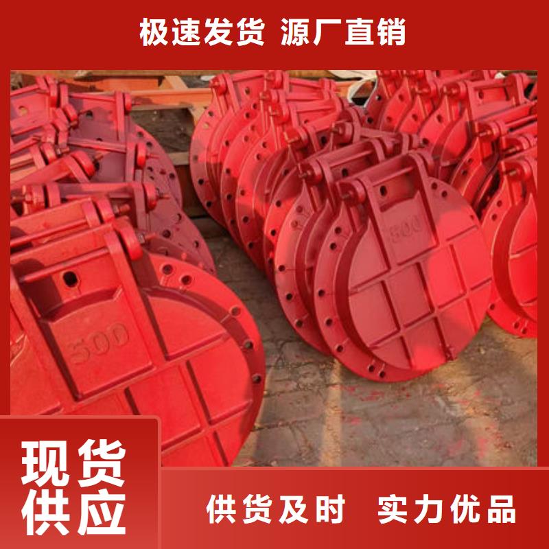 拍门_不锈钢拍门现货充裕