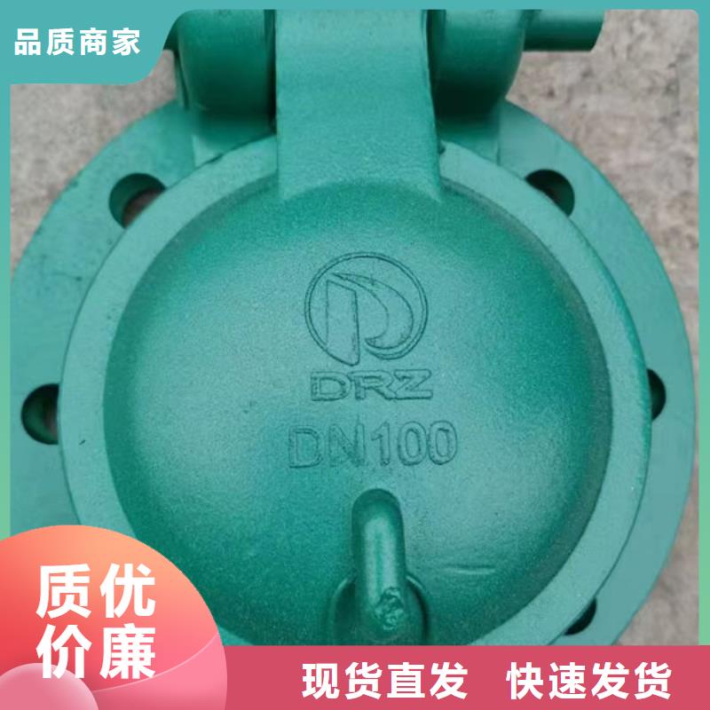 拍门-球墨铸铁拍门精选厂家好货