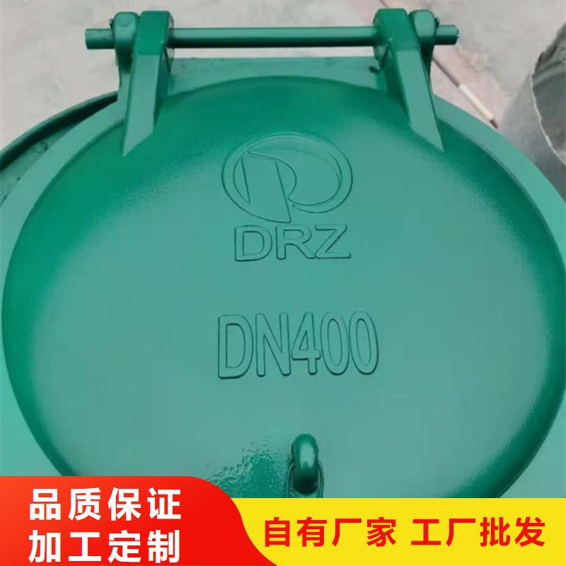 拍门,拍门设计制造销售服务一体