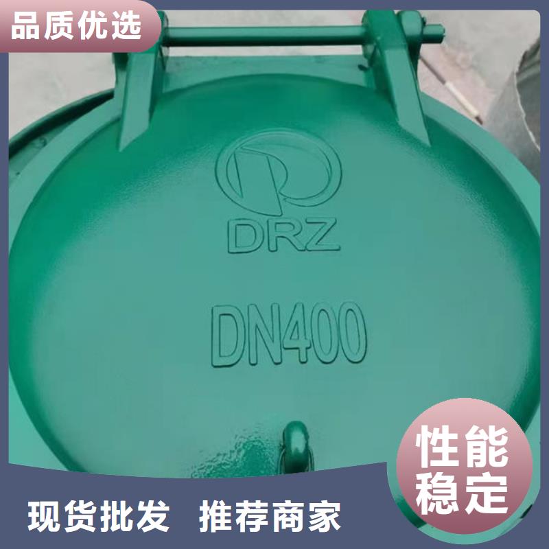拍门-球墨铸铁拍门精选厂家好货