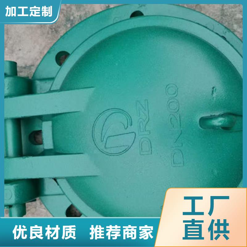 拍门,复合材料拍门现货充足量大优惠