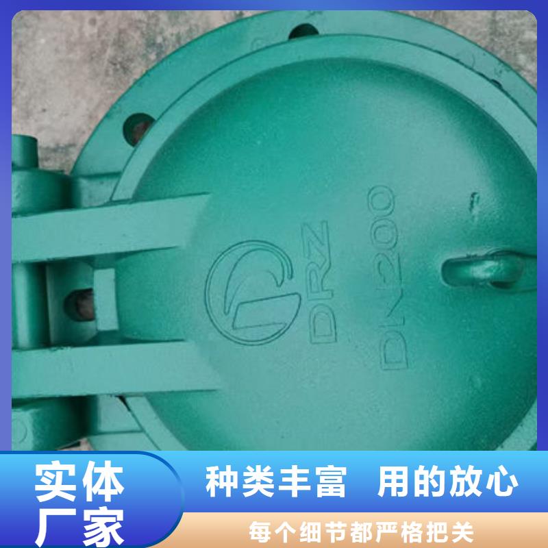 拍门不锈钢拍门产品优良