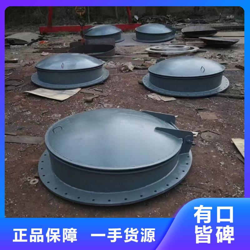 拍门,拍门设计制造销售服务一体