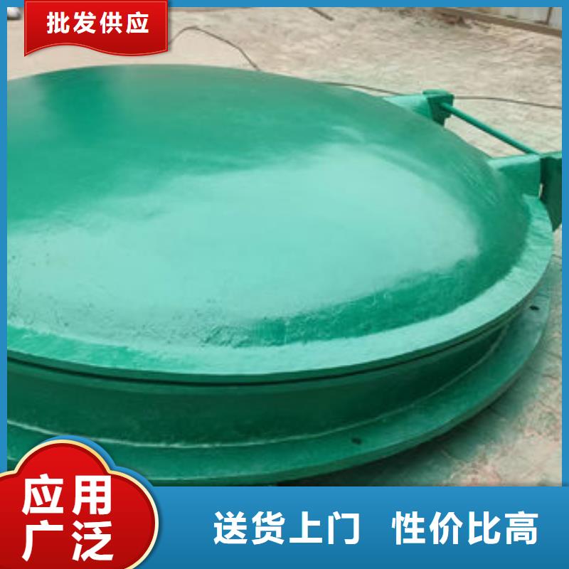 拍门-球墨铸铁拍门精选厂家好货