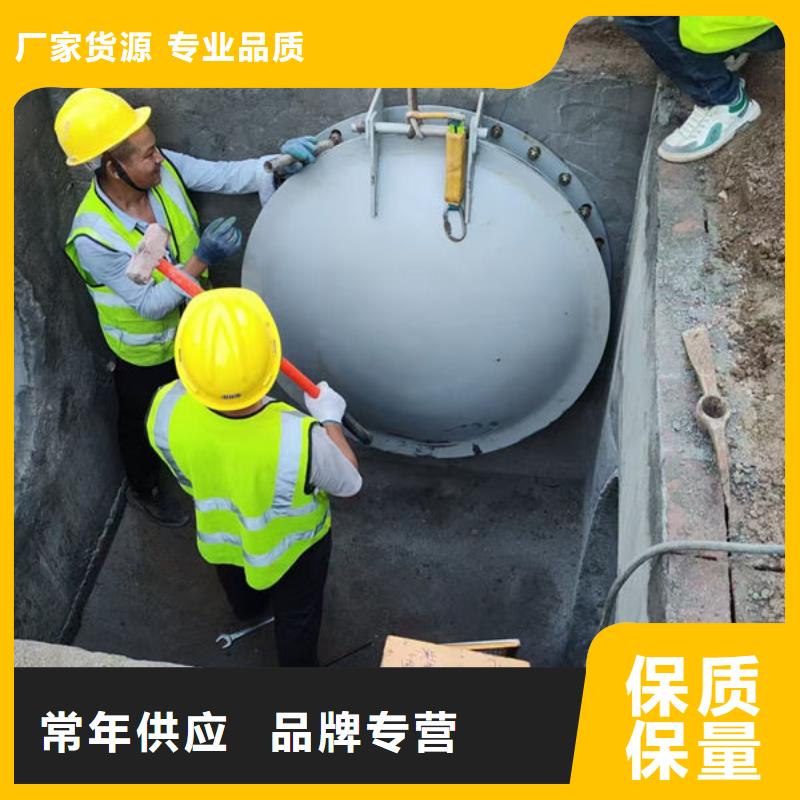 拍门-球墨铸铁拍门精选厂家好货