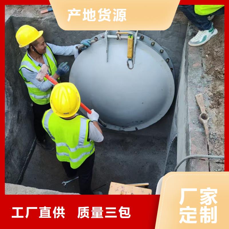 拍门钢制拍门厂家销售