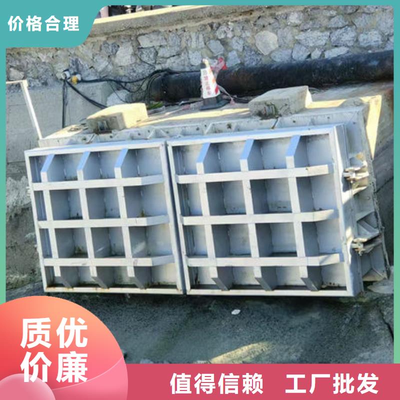 拍门,不锈钢拍门今年新款