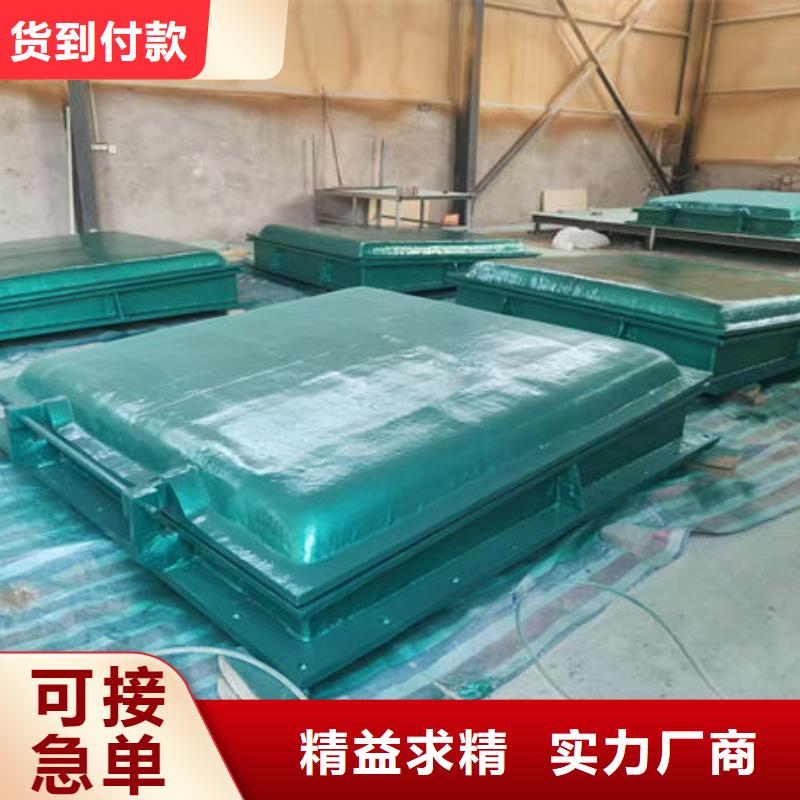 拍门-球墨铸铁拍门精选厂家好货