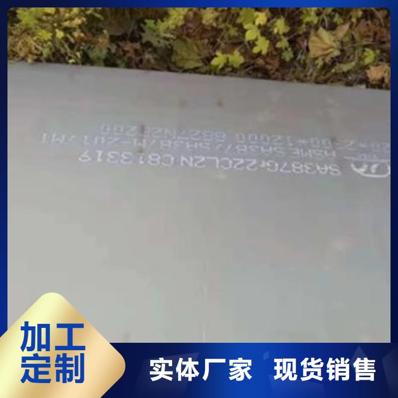 容器钢板风塔结构钢厂家案例