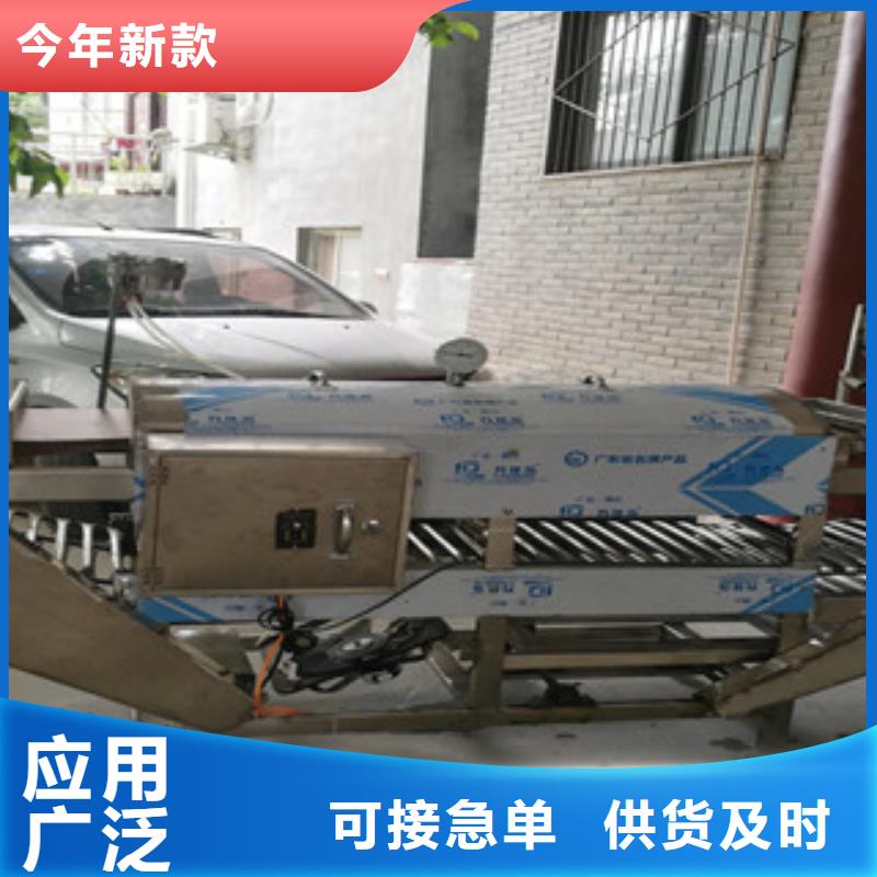 小型凉皮机新价格