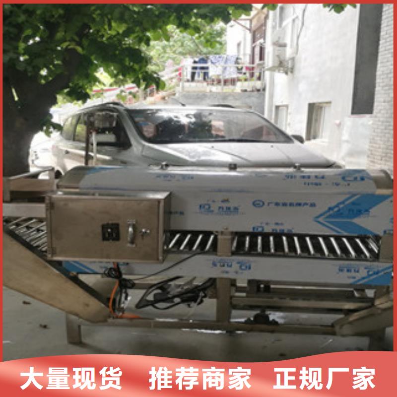 凉皮机优质设备