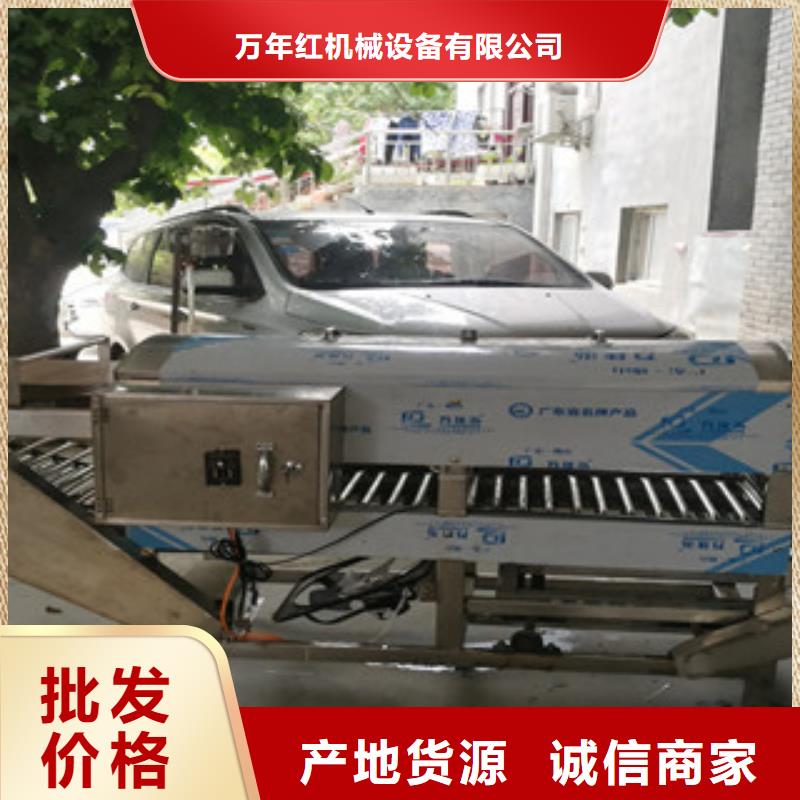 凉皮机单饼机随到随提