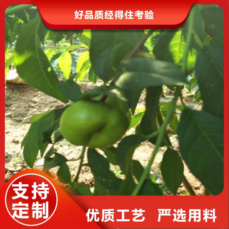 【桃树】绿化树绿化工程源头直供