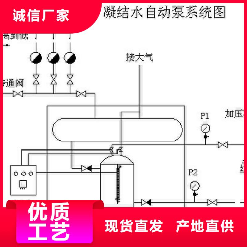 凝结水回收泵厂家直销