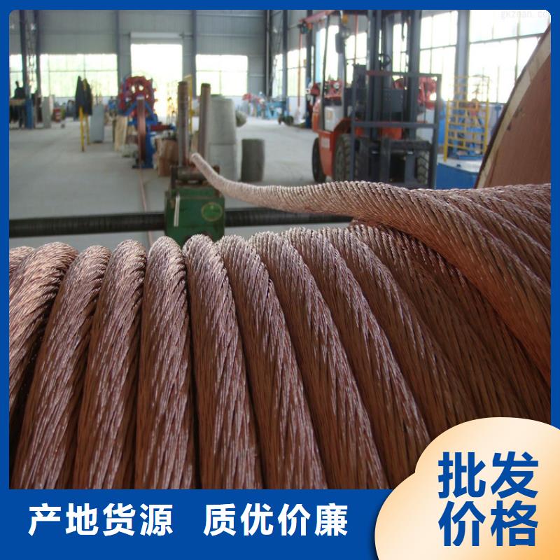 TJ-300平方铜绞线北电南调工程专用线