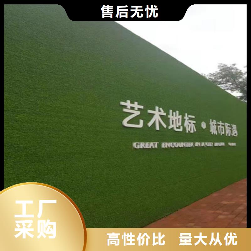 草坪围挡假草皮围挡品质优选