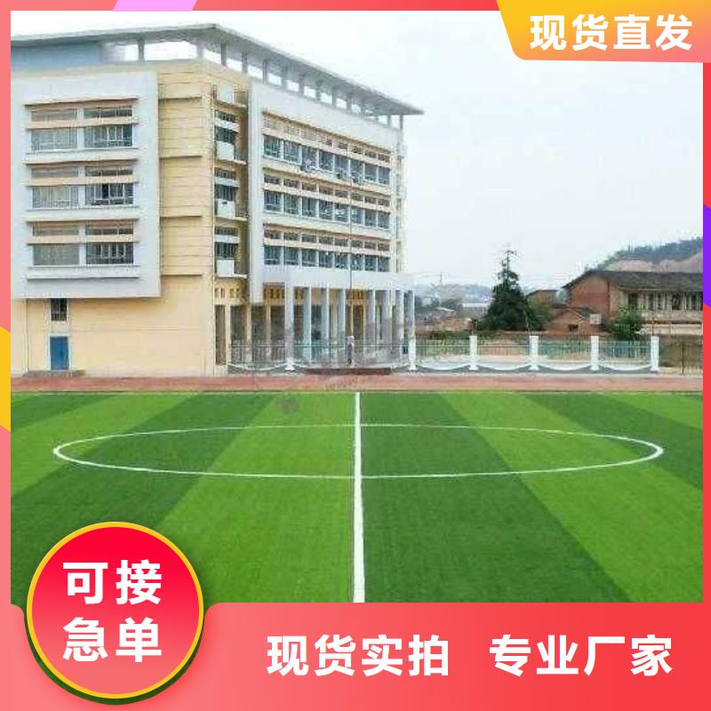 校园塑胶篮球场信息免费拿样