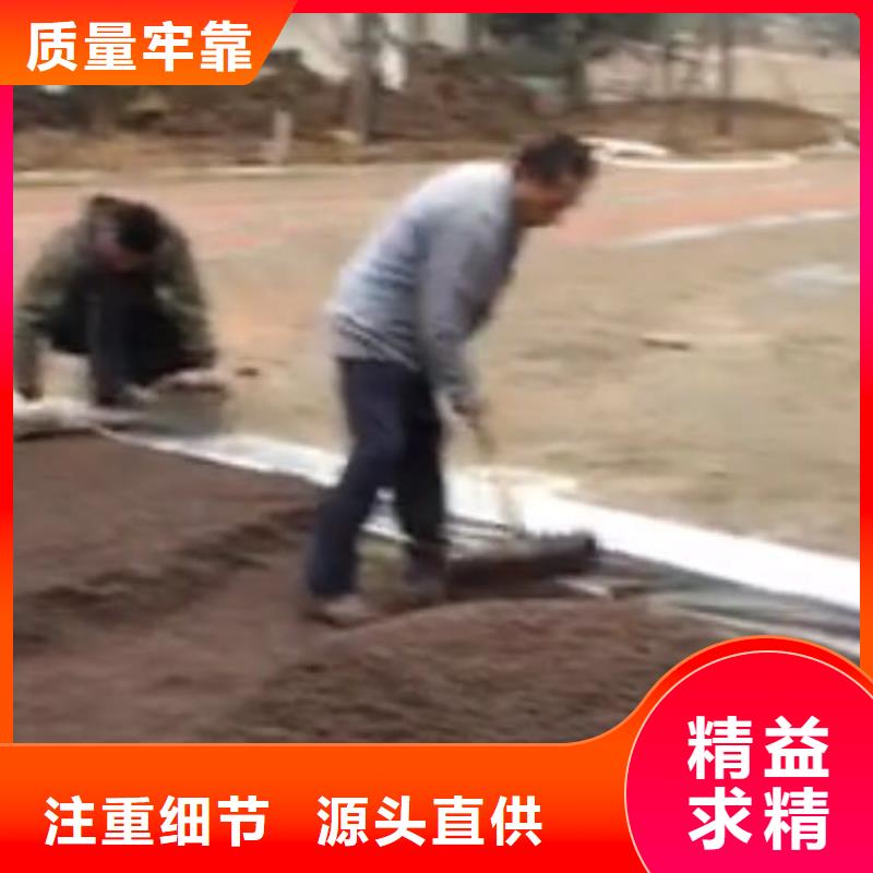 透水艺术压模地坪品质优选
