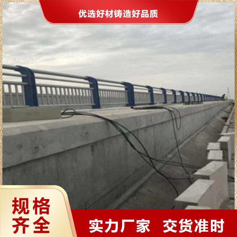 护栏专注本地宠物医院设计产地货源
