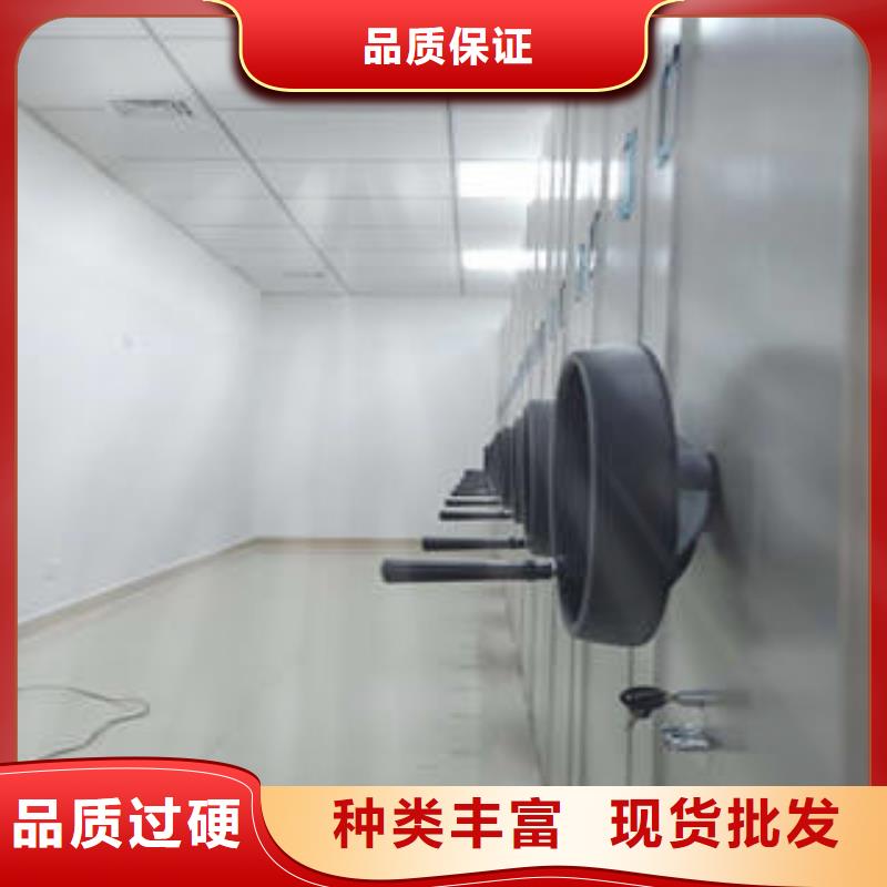 直列式档案密集架-多年大厂