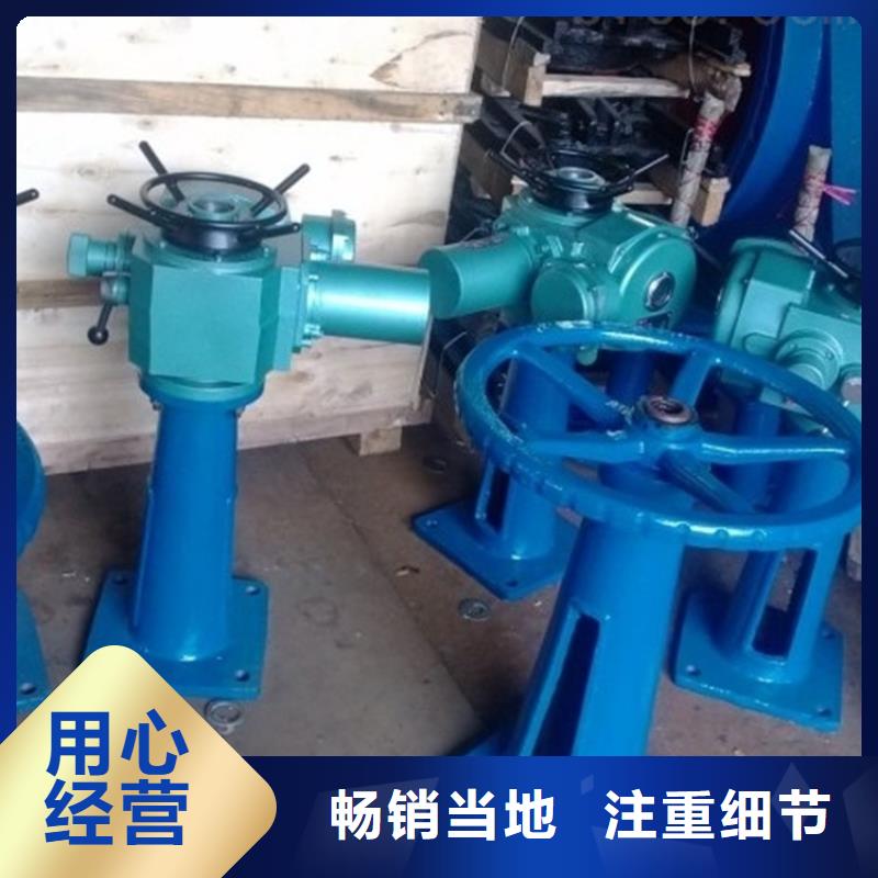 ql手电两用螺杆启闭机