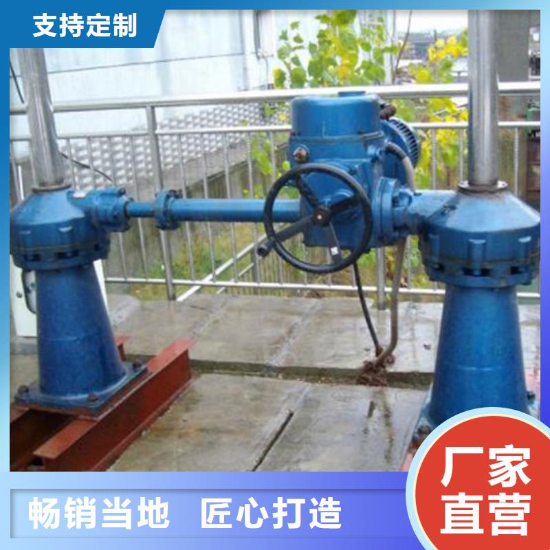 启闭机自控翻板钢闸门实体厂家大量现货