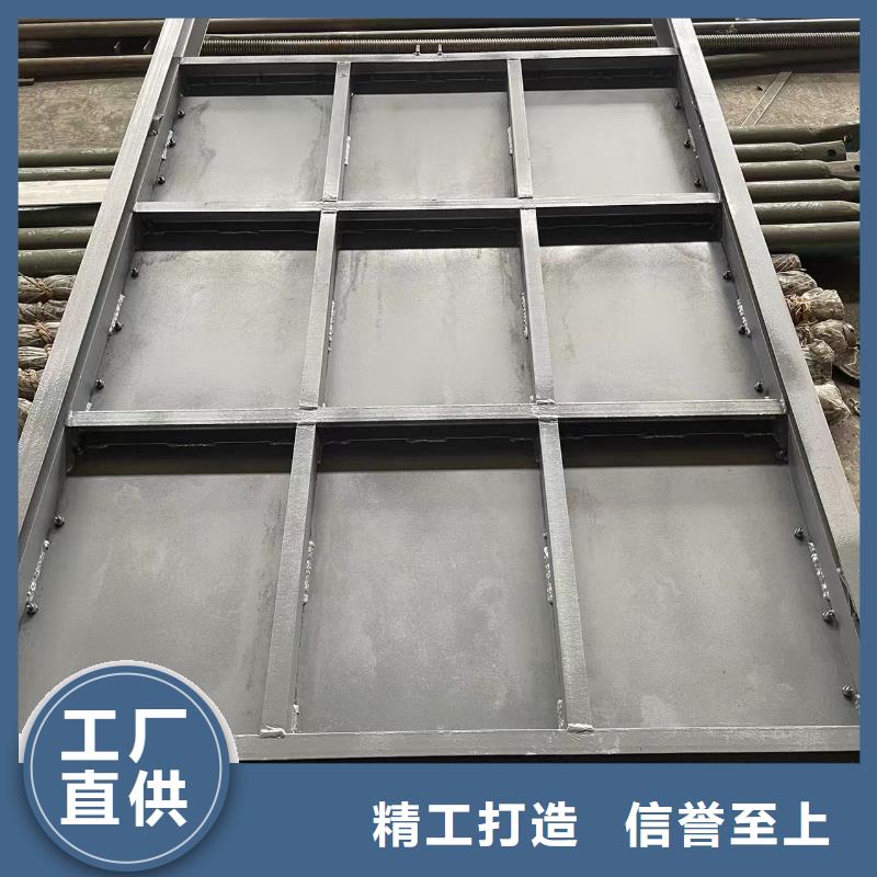 水库钢制闸门潜孔式平面钢闸门提供图纸